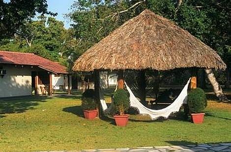 Rio Mutum Lodge